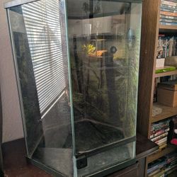 Hexagon Reptile/Amphibian Tank  $100 OBO
