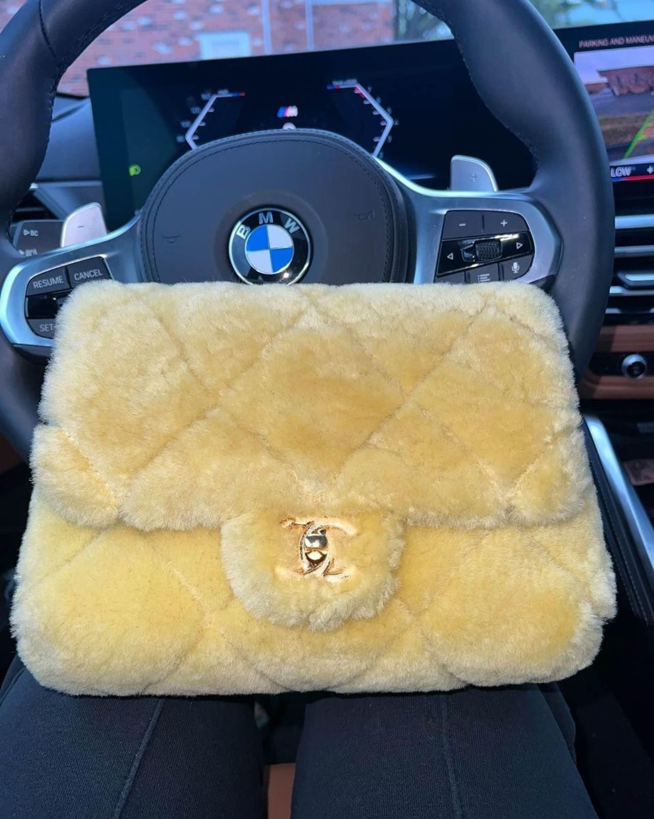Chanel Bag