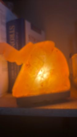 Elephant salt rock light