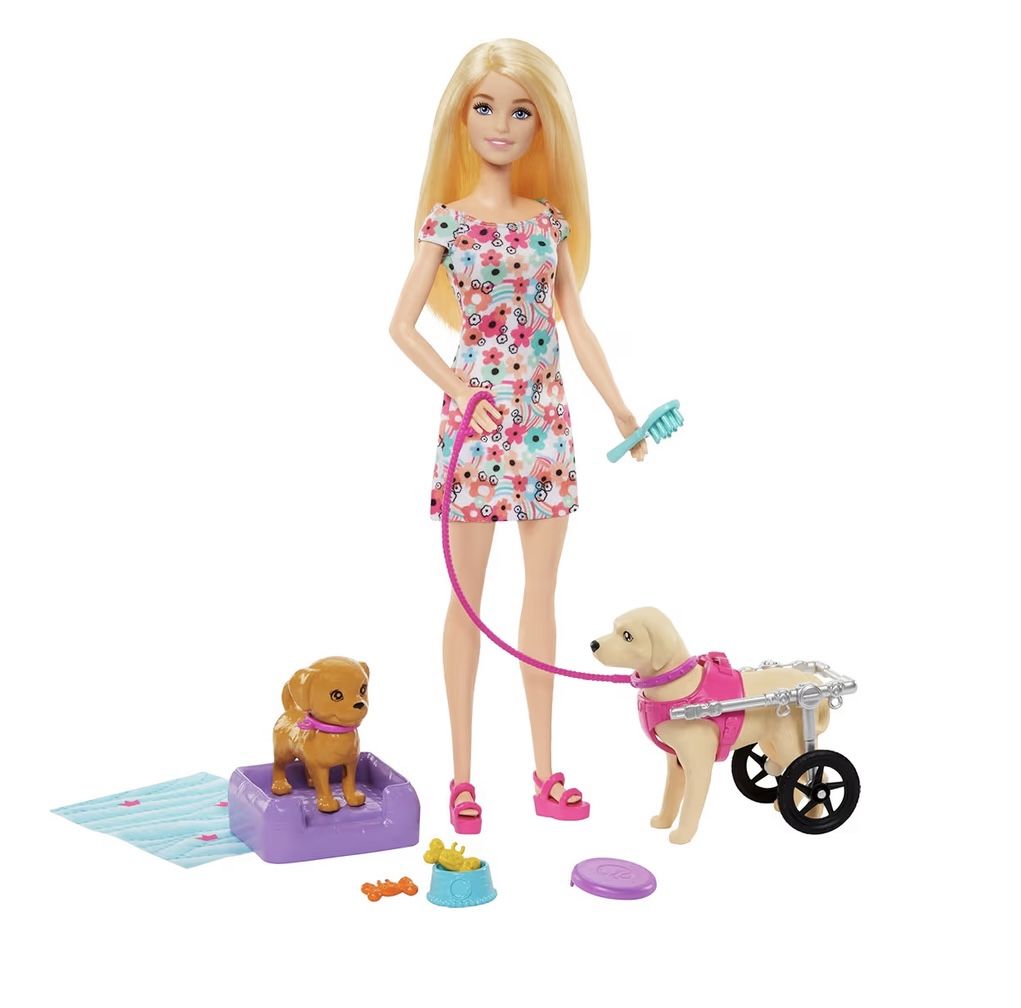 Barbie Doll with 2 Toy Dogs & Pet Accessories, 1 Pup in a Removable Wheelchair with Rolling Wheels, 10+ Piece Set
