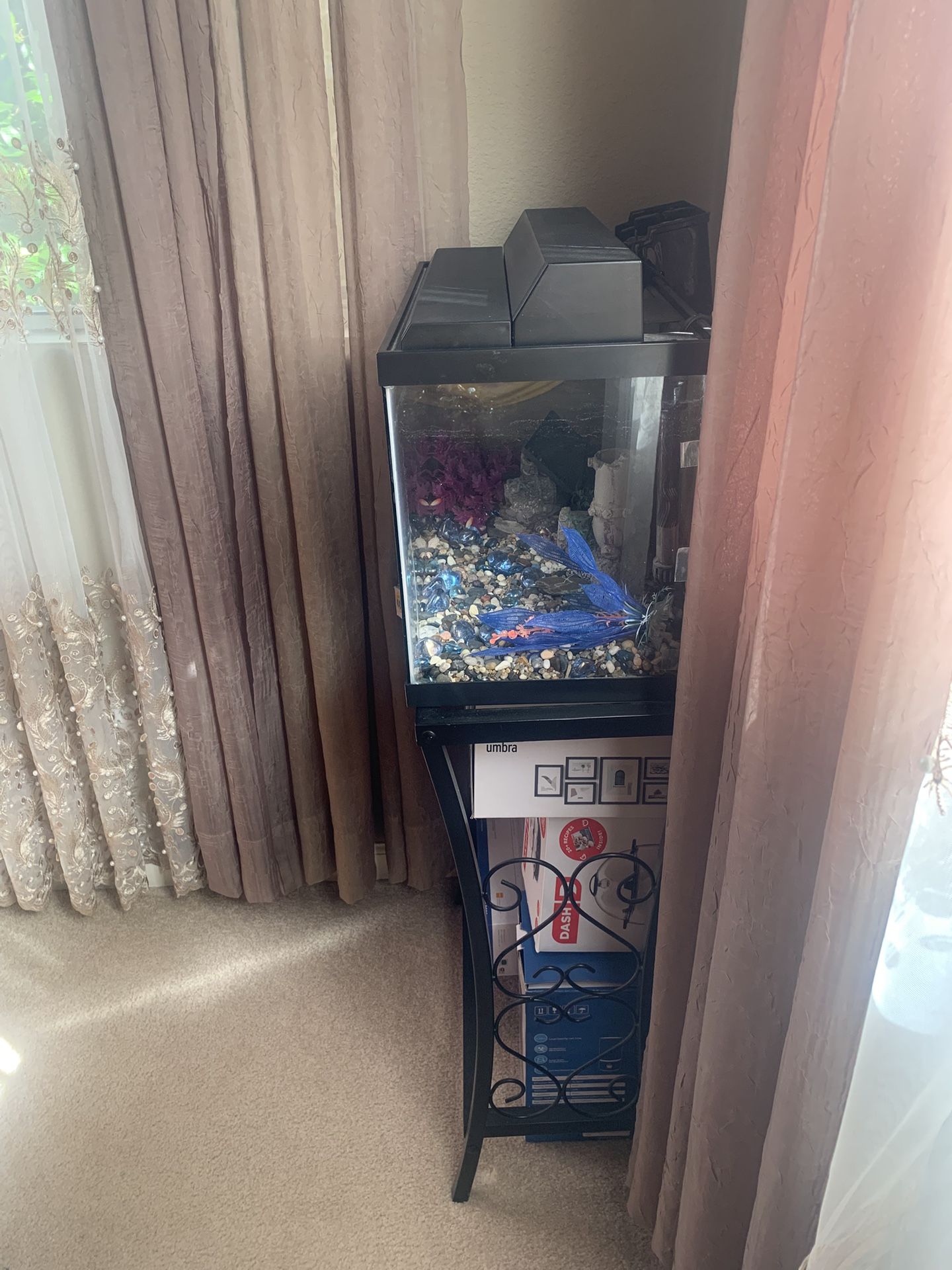 Fish Tank