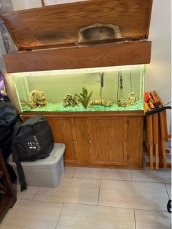 Aquarium
