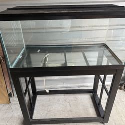 40 Gallon Aquarium 