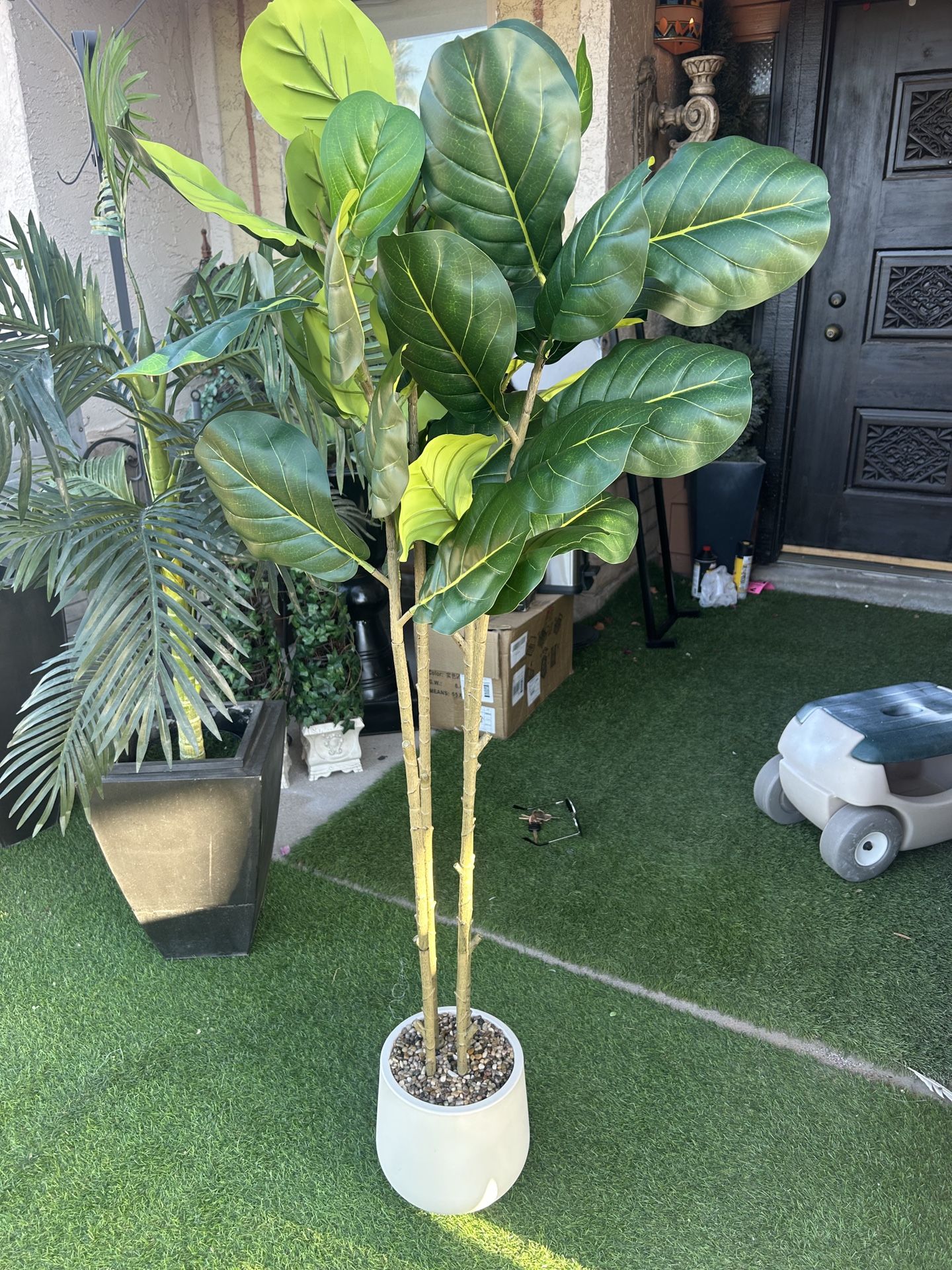 New Faux Ficus Plant