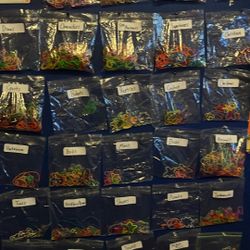 “Silly Bandz” Collection 