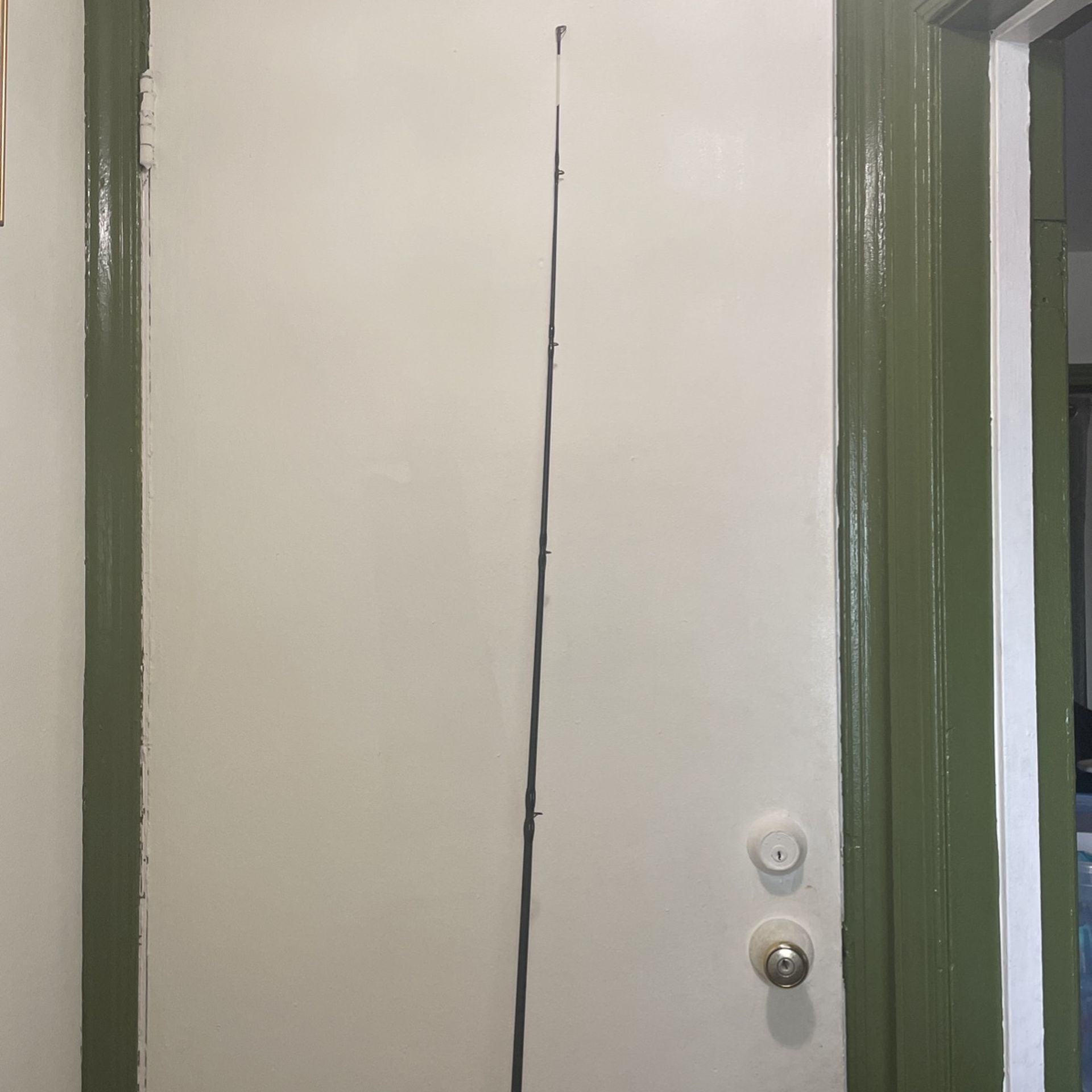 Fishing Rod