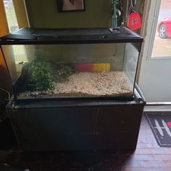 Reptile Aquarium 