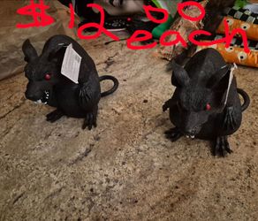 Halloween Scary Rat 🐀