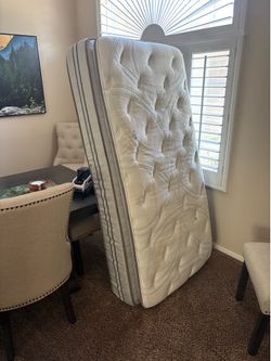 Free full mattresses