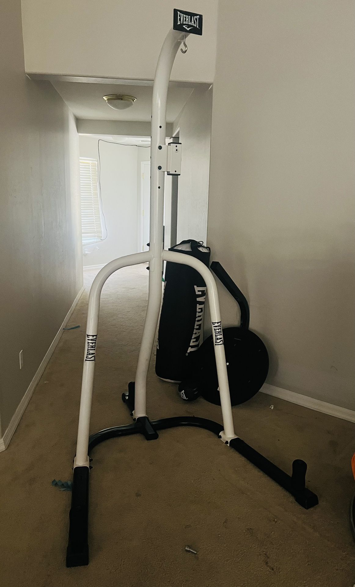 Everest Punching Bag Set 
