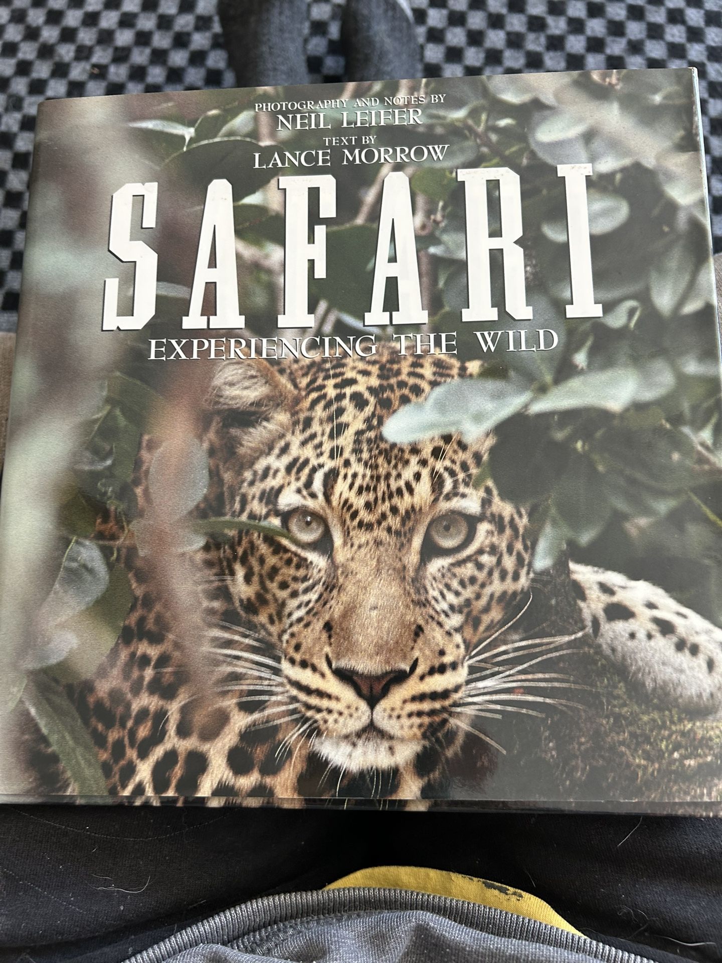 Animals Of The World Books