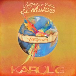 VIP KAROL G Lower Level ticket