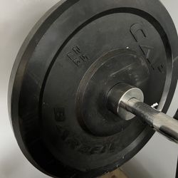 2 25lbs Plates