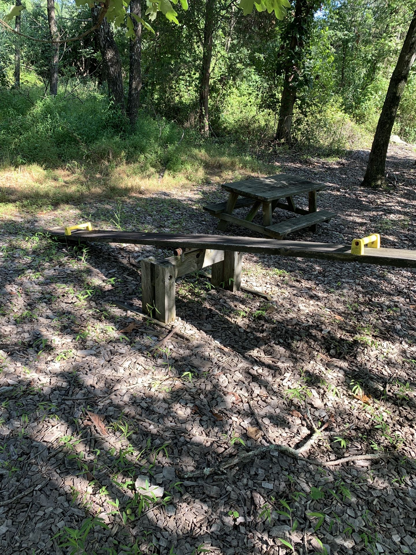 Seesaw & picnic table