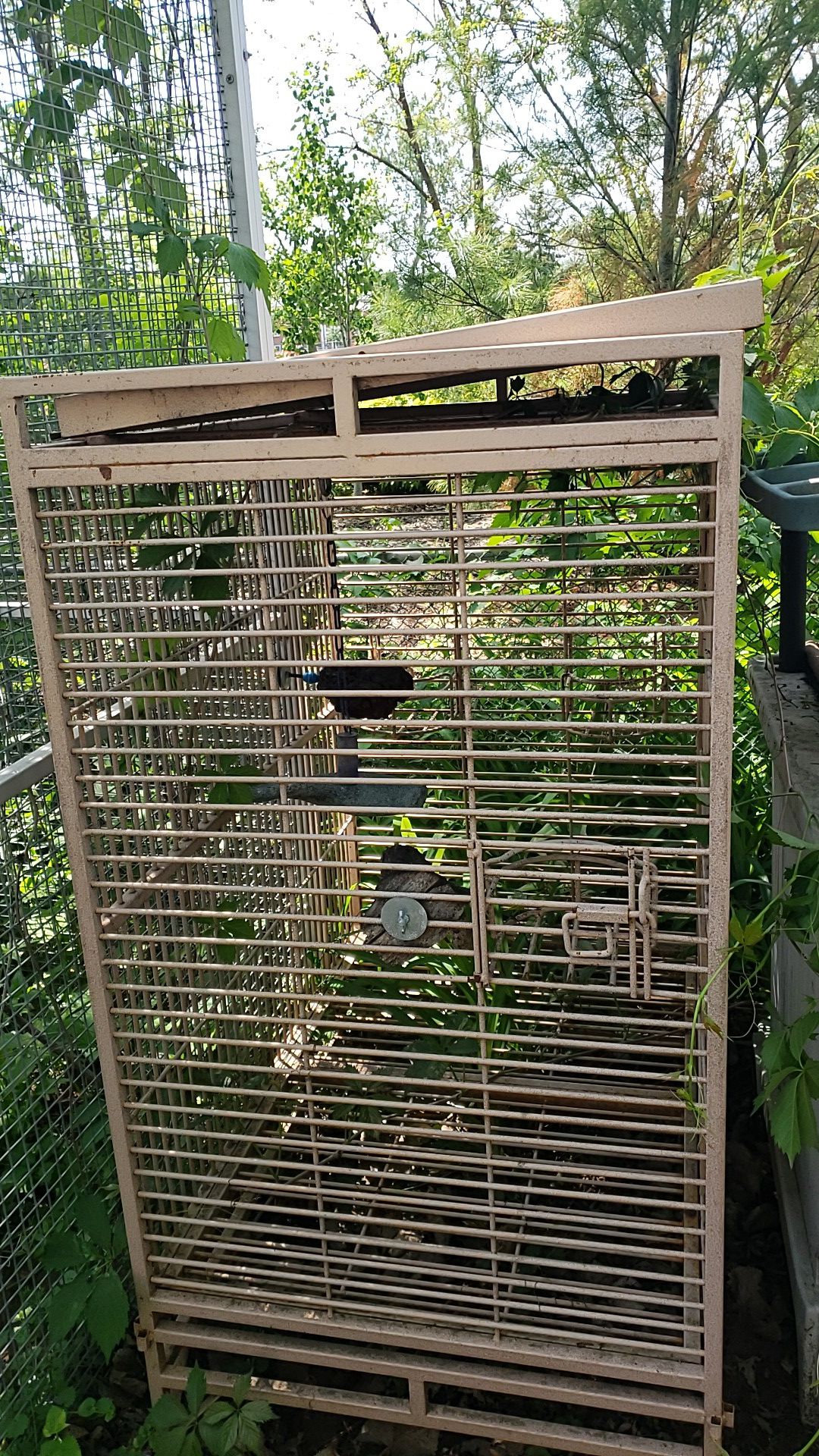 Macaw Bird Cage