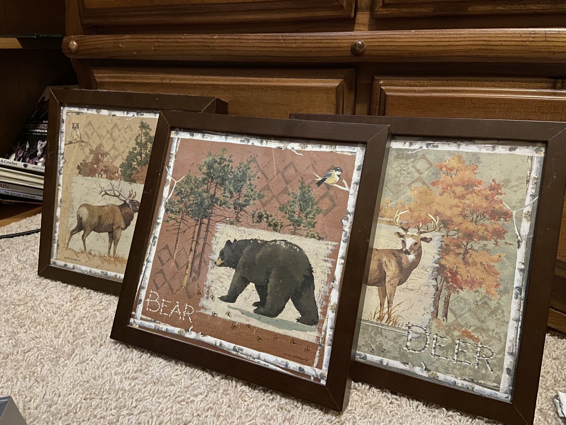 Framed Animal Art