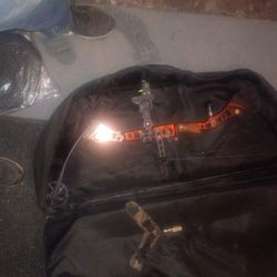 Matthew's Compound Bow