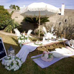 Picnic Setup 