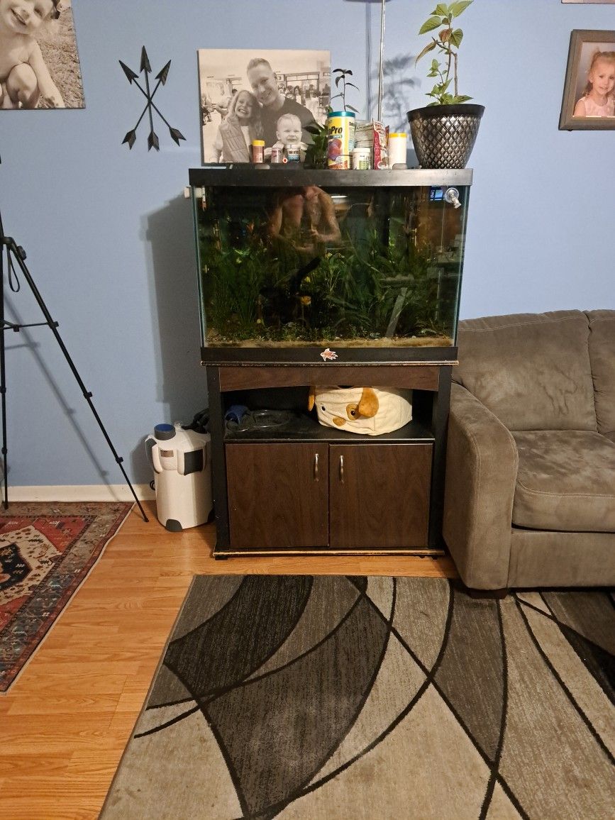 65g Aquarium With Stand Fully Stocked
