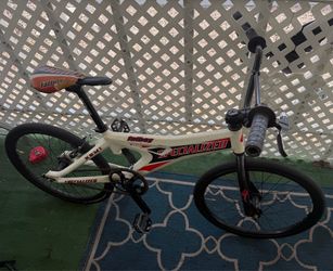 Specialized fatboy
