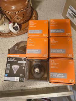 LED LIGHT BULBS
