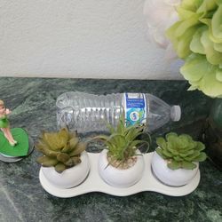 Home Decor - 3 small fake plants in ceramic pots with tray