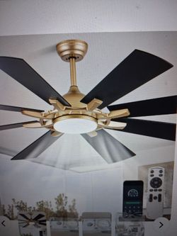 Bella Depot 60" Black and gold ceiling fan with light.