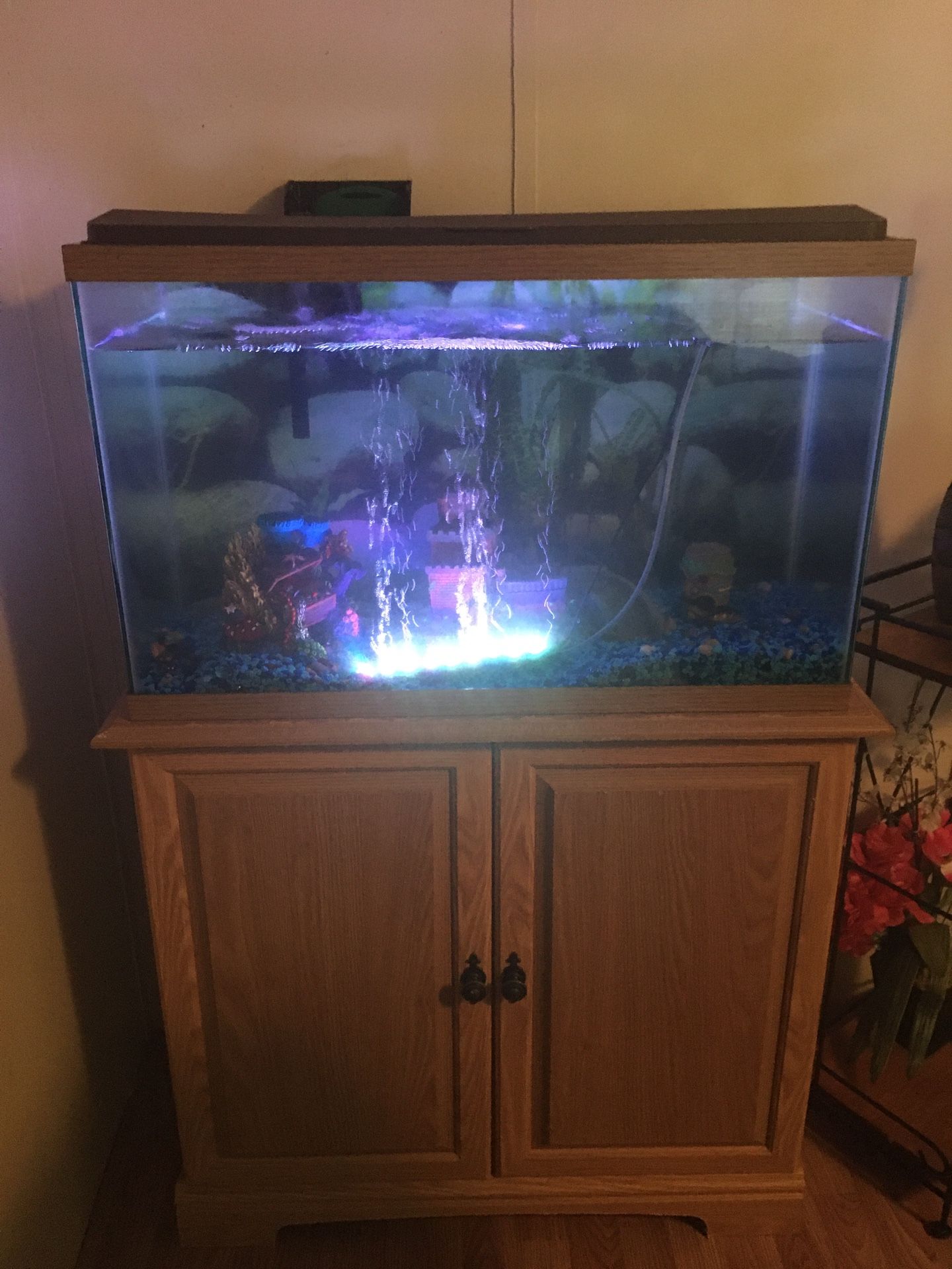 Fish tank