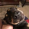 ramona