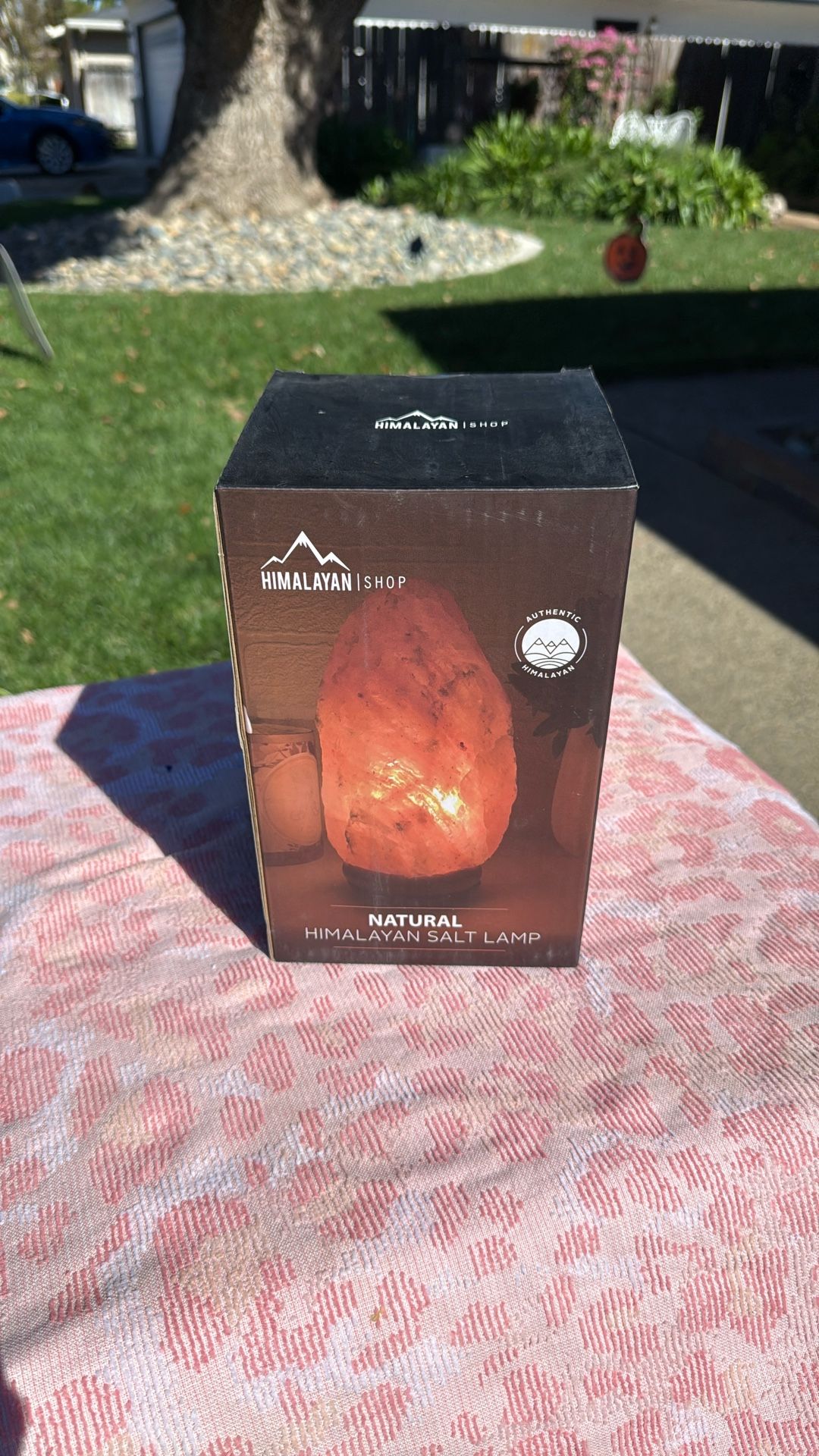 Himalayan Salt Lamp New In Box