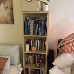 Bookcase (IKEA)