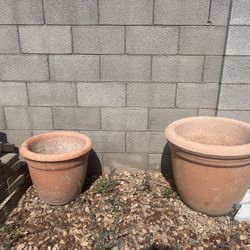 Plant Pots