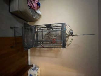 Tall Bird Cage
