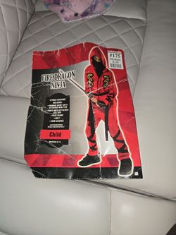 Fire dragon Ninja
