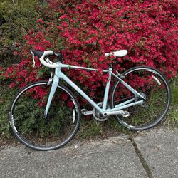 Giant race Bike Bicycles 