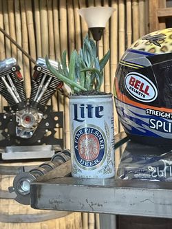 Vintage Miller Light Beer Can With Planted Succulent