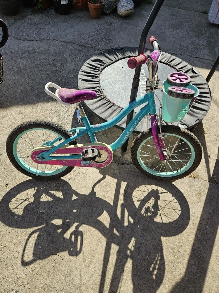 Girls Schwinn Bike