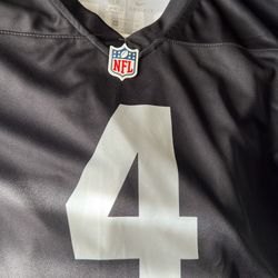 Small Women’s Raider Jersey 