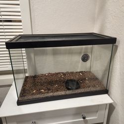 10 Gallon Reptile Tank 