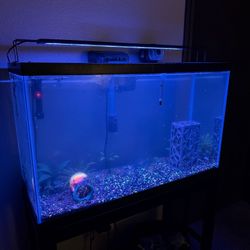 Aquarium Tank 29 gallon