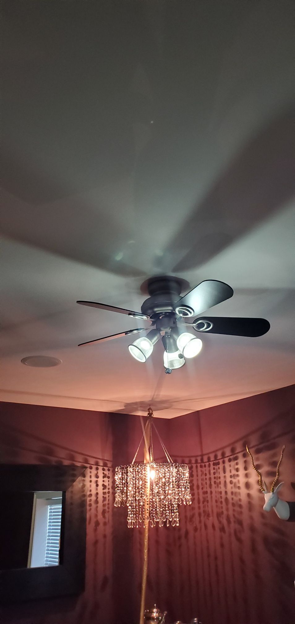 Ceiling fan and light fixture
