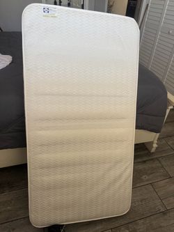Mattress brand sealy