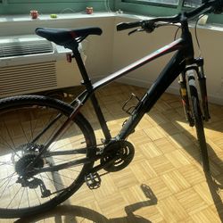 Bike :Giant Roam 2 Disc Matte Charcoal/Neon Red 