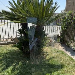 Indoor And Outdoor Tempered Glass Panels, New