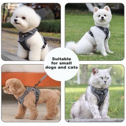 Dog Or Cat Harness And Leash Set