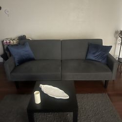 Futon Couch 