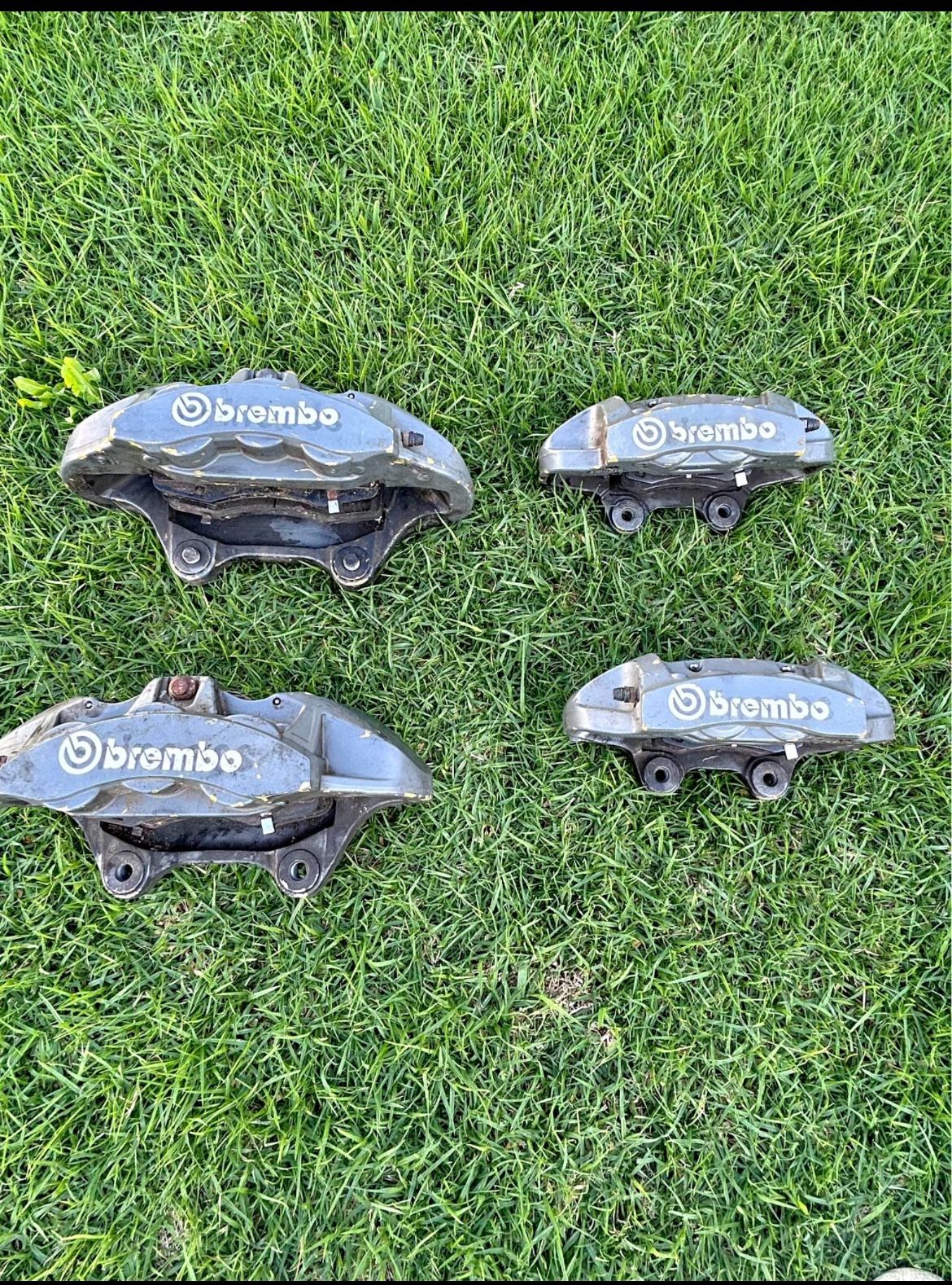 6  Piston Calipers OBO ✅