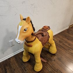 Horse 