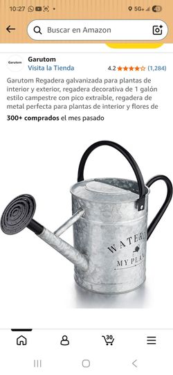 Regadera galvanizada