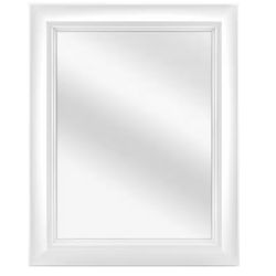 24 in. W x 30 in. H Rectangular Medicine Cabinet with Mirror